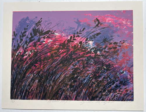 Stampa serigrafica originale