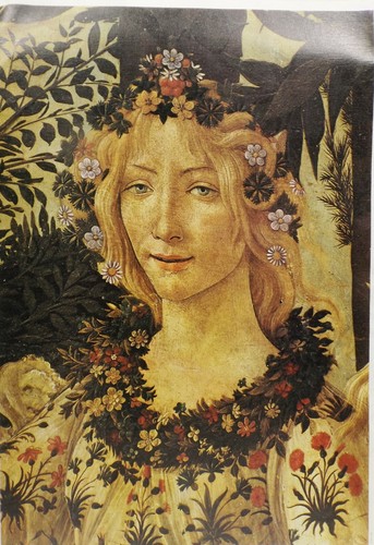Botticelli testa della - testa,