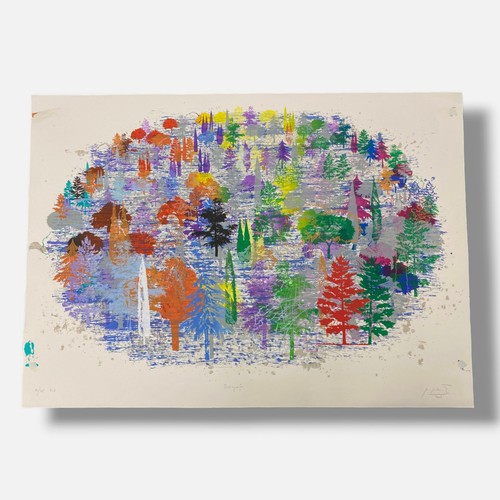 Grande stampa fine - art, firmata